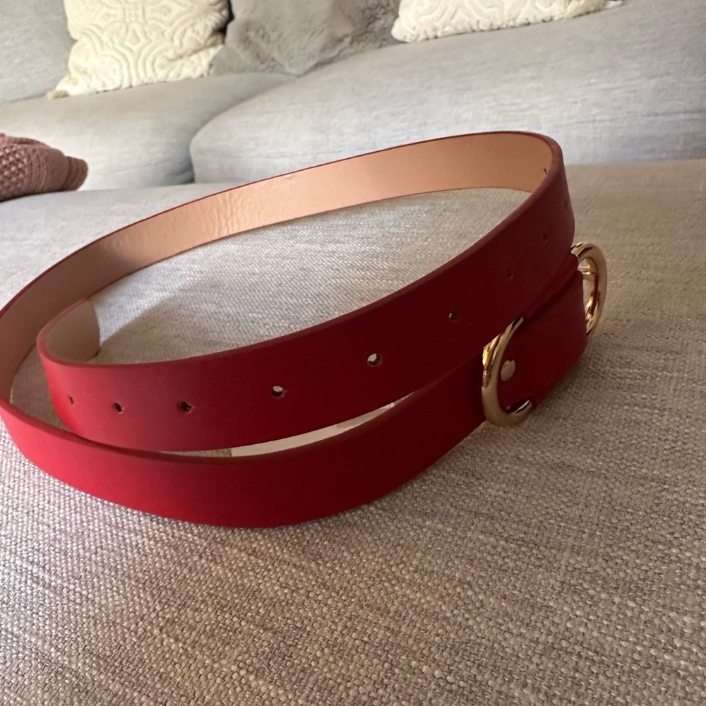 Elegant Red and Gold Belt